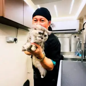 Long-haired cat held by a mobile pet groomer
